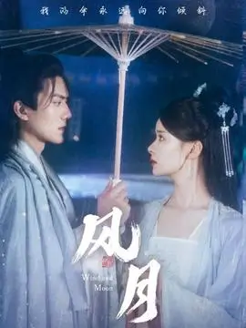 南风知我意都市情感剧更新